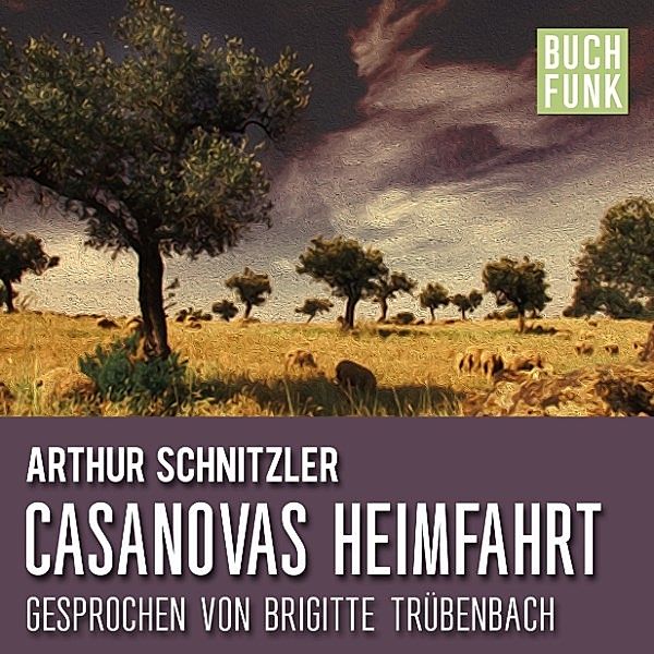 Casanovas Heimfahrt, Arthur Schnitzler