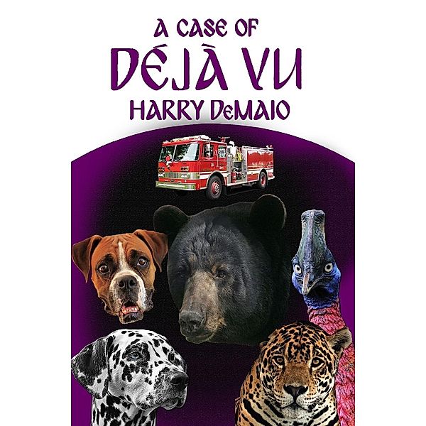 Case of Deja Vu / Octavius Bear, Harry Demaio