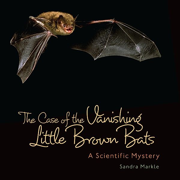 Case of Vanishing Little Brown Bats / Sandra Markle's Science Discoveries, Sandra Markle
