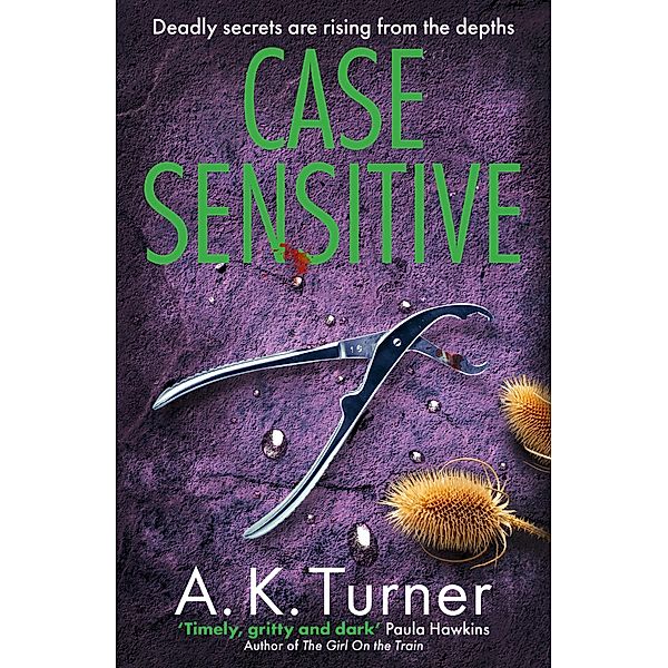 Case Sensitive / Cassie Raven, A. K. Turner