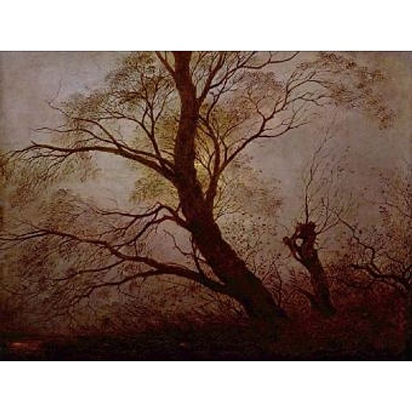 Caspar David Friedrich - Bäume im Mondschein - 2.000 Teile (Puzzle)
