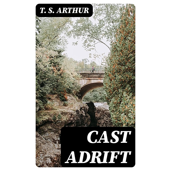 Cast Adrift, T. S. Arthur