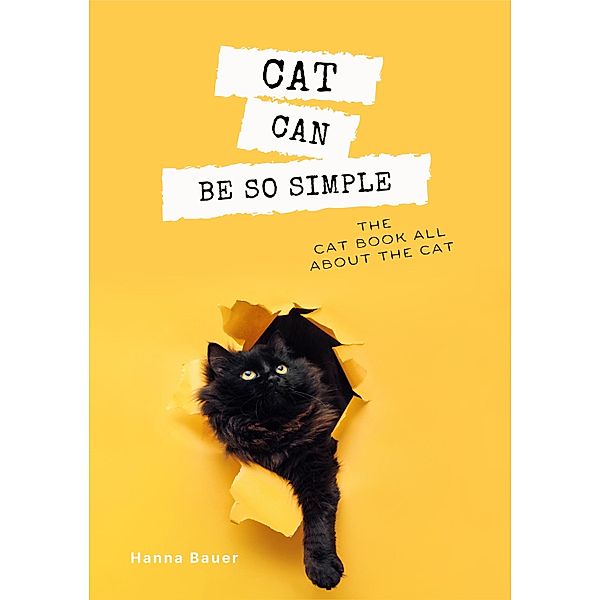 Cat can be so simple, Hanna Bauer