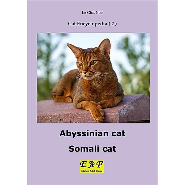 Cat Encyclopedia: Abyssinian cat - Somali cat, Le Chat Noir