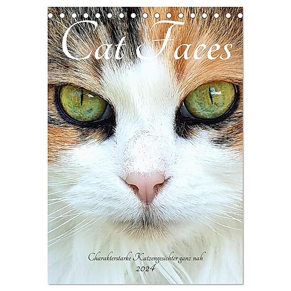 Cat Faces - Charakterstarke Katzengesichter ganz nah (Tischkalender 2024 DIN A5 hoch), CALVENDO Monatskalender, Michaela Schimmack