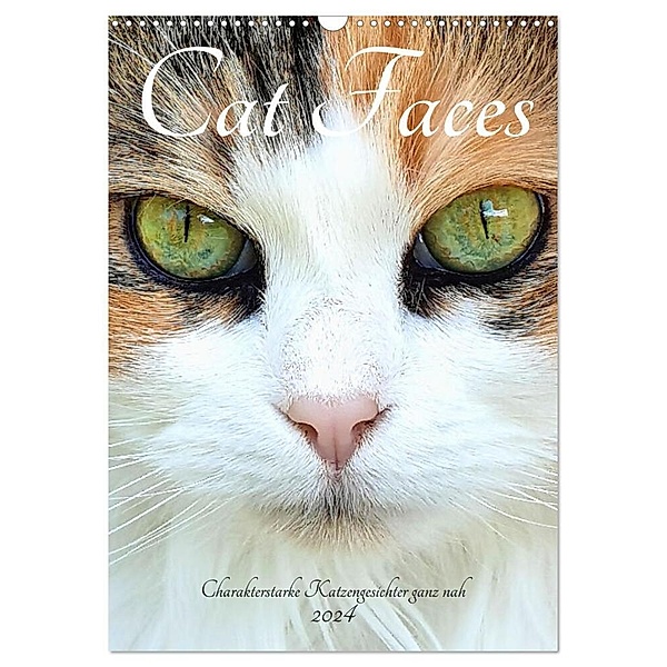 Cat Faces - Charakterstarke Katzengesichter ganz nah (Wandkalender 2024 DIN A3 hoch), CALVENDO Monatskalender, Michaela Schimmack