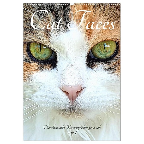 Cat Faces - Charakterstarke Katzengesichter ganz nah (Wandkalender 2024 DIN A2 hoch), CALVENDO Monatskalender, Michaela Schimmack