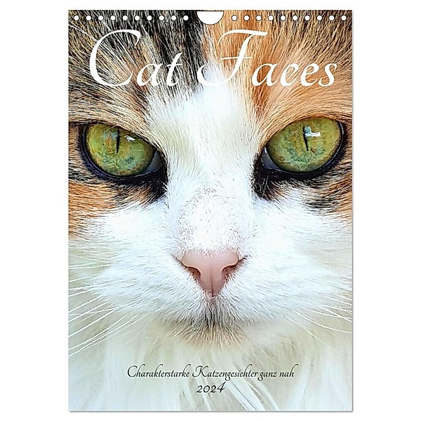 Cat Faces - Charakterstarke Katzengesichter ganz nah (Wandkalender 2024 DIN A4 hoch), CALVENDO Monatskalender, Michaela Schimmack