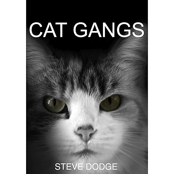 Cat Gangs, Steve Dodge