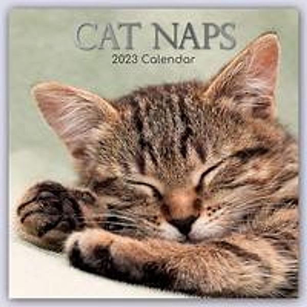 Cat Naps - Träumende Katzen 2023 - 16-Monatskalender, Gifted Stationery Co. Ltd