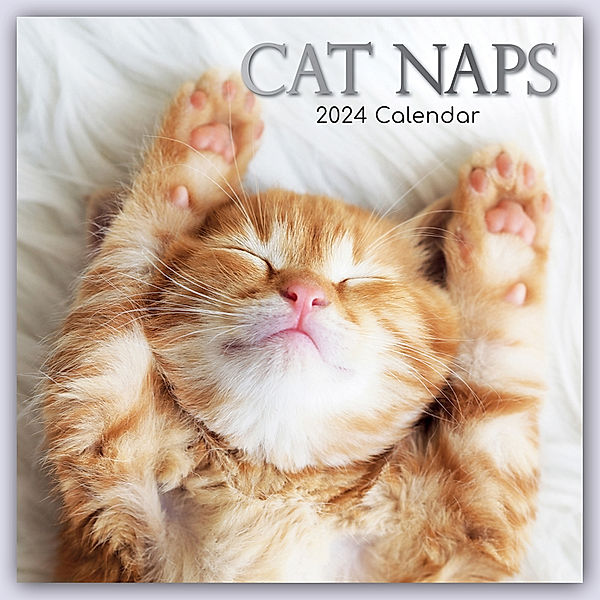 Cat Naps - Träumende Katzen 2024 - 16-Monatskalender, Gifted Stationery Co. Ltd