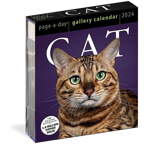 Cat Page-A-Day Gallery Calendar 2024, Workman Calendars