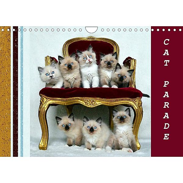 CAT PARADE (Wall Calendar 2023 DIN A4 Landscape), Jennifer Chrystal