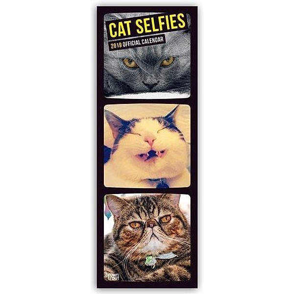 Cat Selfies 2019, BrownTrout Publisher