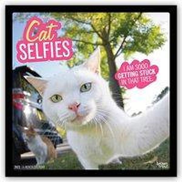 Cat Selfies 2021 - 16-Monatskalender, Cat Selfies 2021