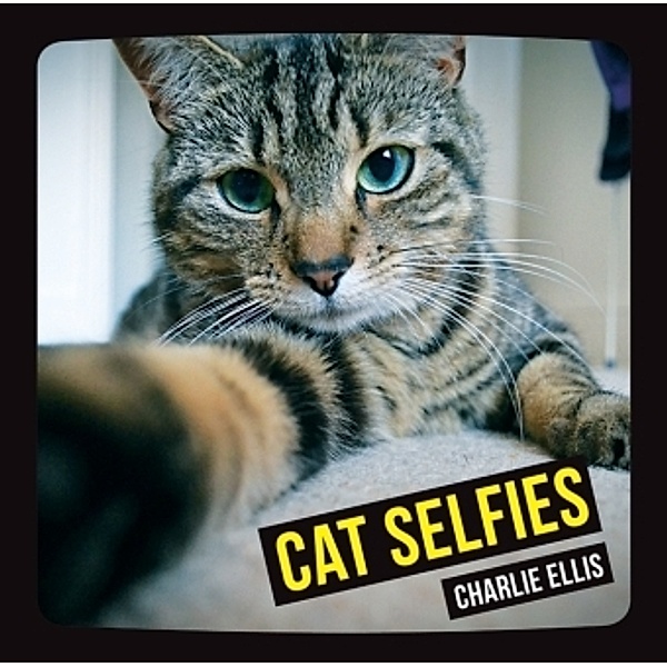 Cat Selfies, Charlie Ellis