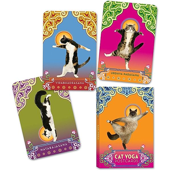 Cat Yoga Postcards, Rick Tillotson