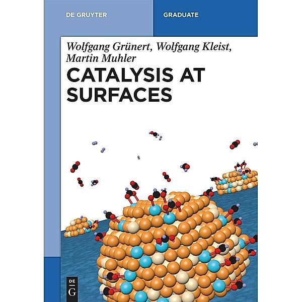 Catalysis at Surfaces / De Gruyter Textbook, Wolfgang Grünert, Wolfgang Kleist, Martin Muhler