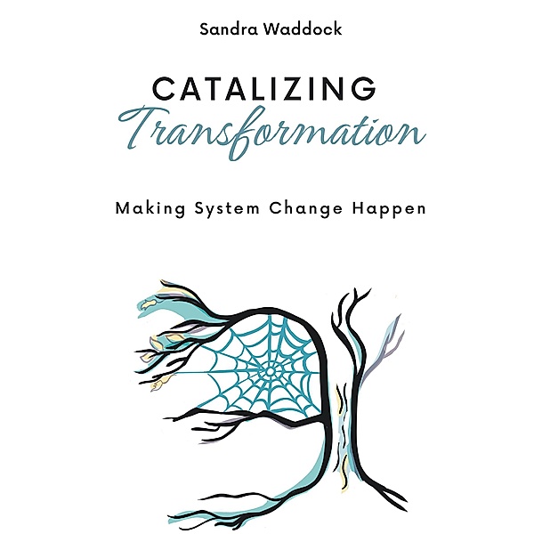 Catalyzing Transformation, Sandra Waddock