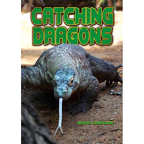 Catching Dragons / Badger Learning, Simon Chapman