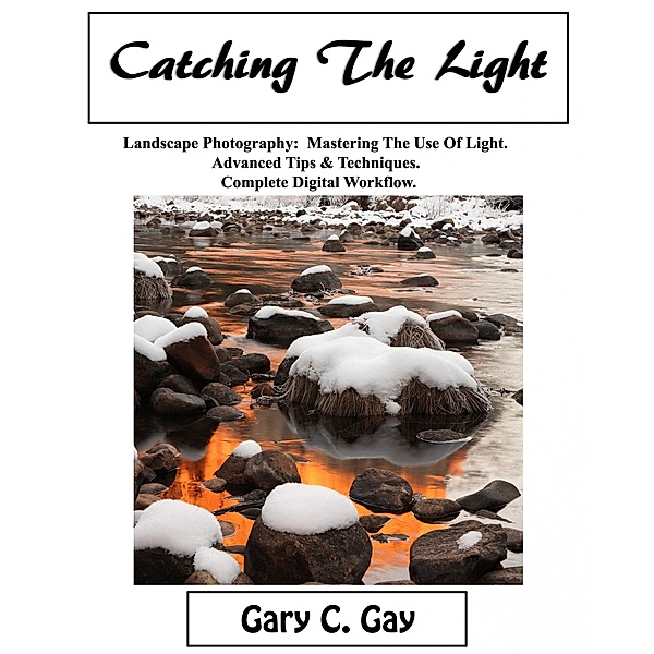 Catching the Light, Gary C. Gay