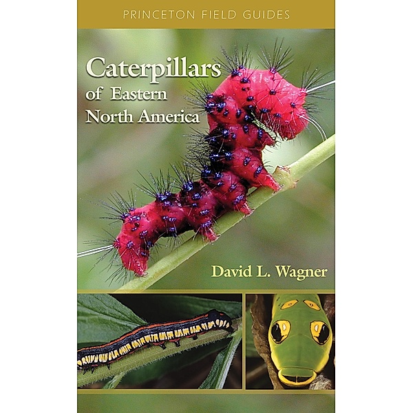 Caterpillars of Eastern North America / Princeton Field Guides, David L. Wagner