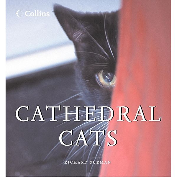 Cathedral Cats, Richard Surman