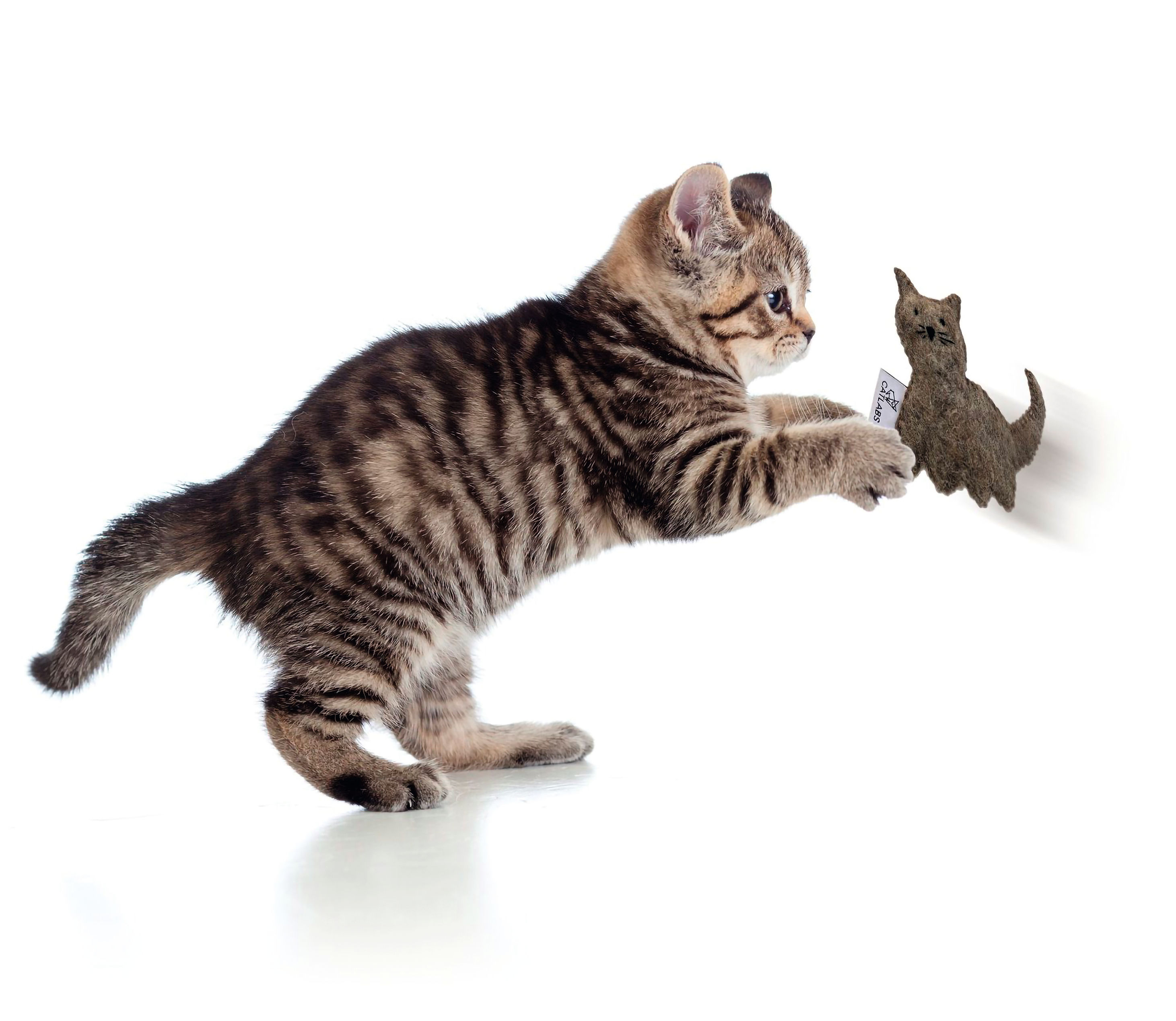 Catlabs Katzenspielzeug braune Katze | Bei Weltbild.de