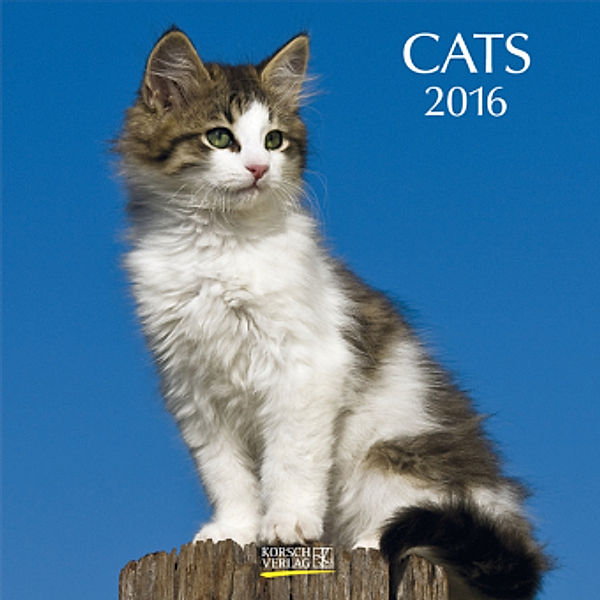 Cats 2016