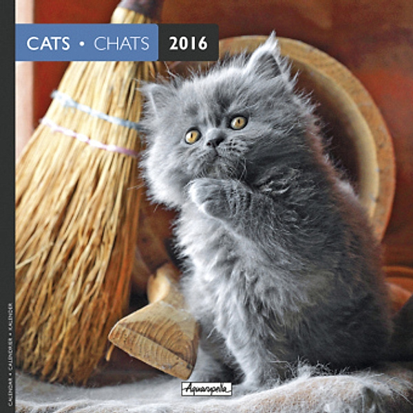 Cats 2016. Chats