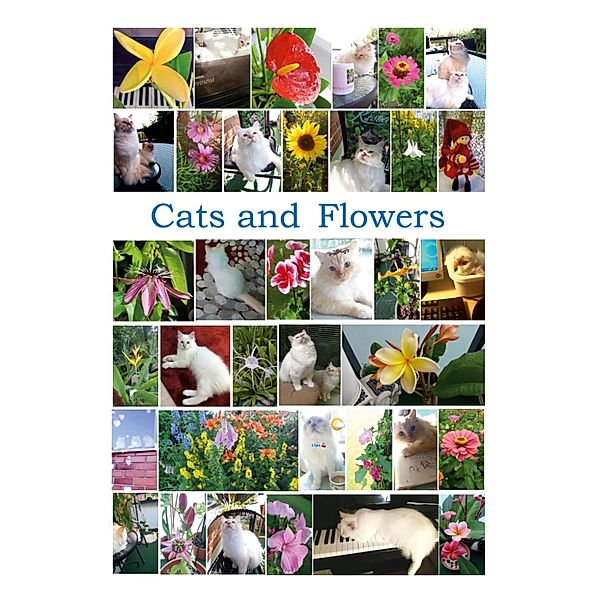 Cats and Flowers, Susanna Király
