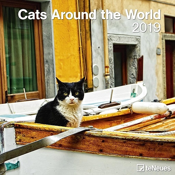 Cats around the World 2019