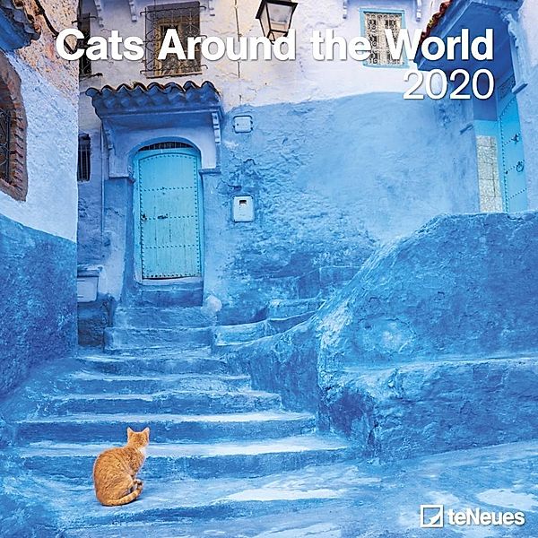 Cats around the World 2020