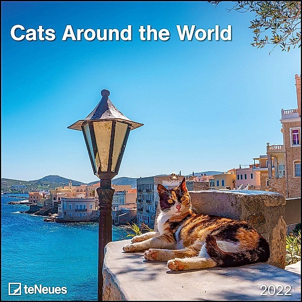 Cats Around the World 2022 - Wand-Kalender - Broschüren-Kalender - 30x30 - 30x60 geöffnet - Katzen-Kalender