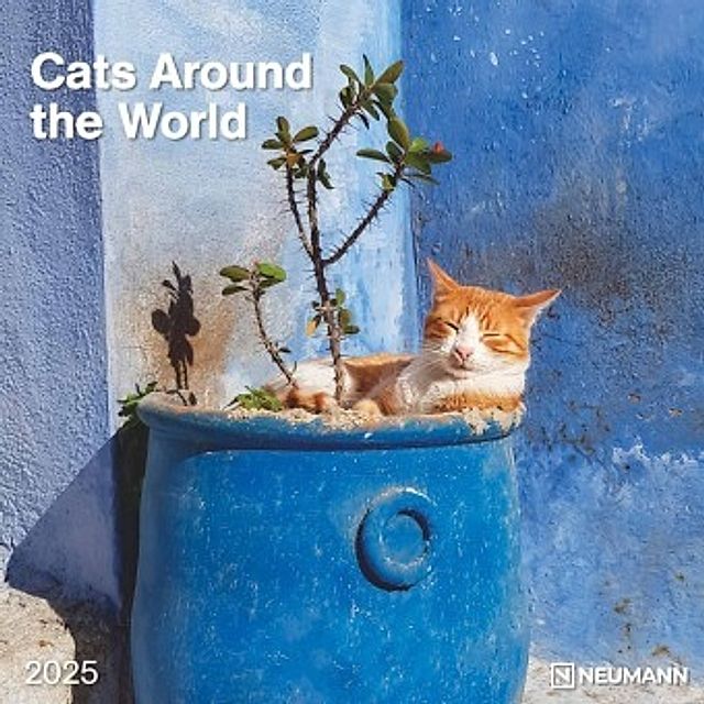 Cats Around the World 2025 WandKalender BroschürenKalender