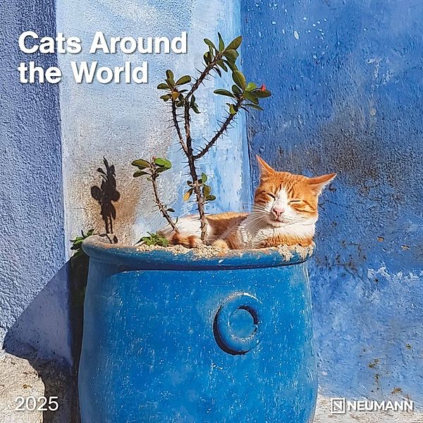 Cats Around the World 2025 - Wand-Kalender - Broschüren-Kalender - 30x30 - 30x60 geöffnet - Katzen-Kalender