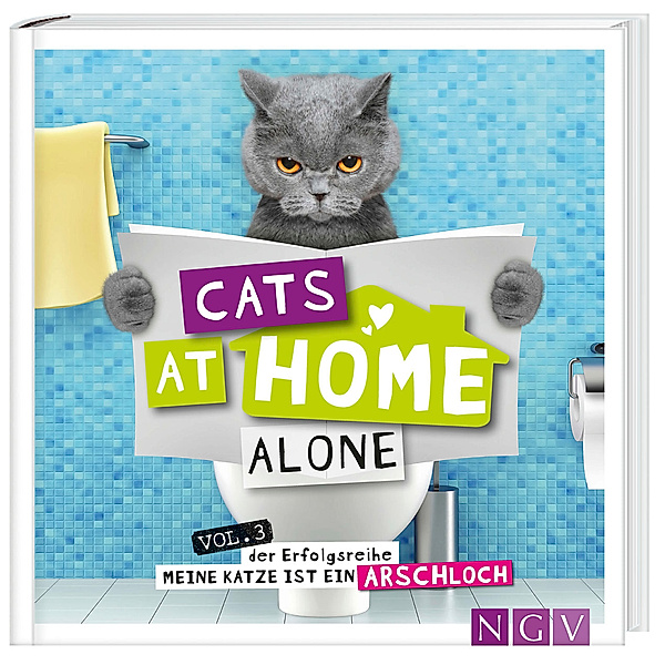 Cats at home alone - Das Geschenkbuch für Katzenliebhaber, Klaus Bunte