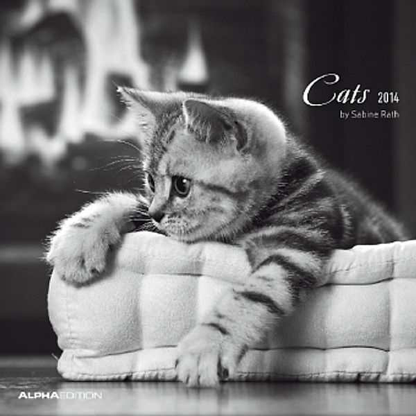 Cats, Broschürenkalender 2014