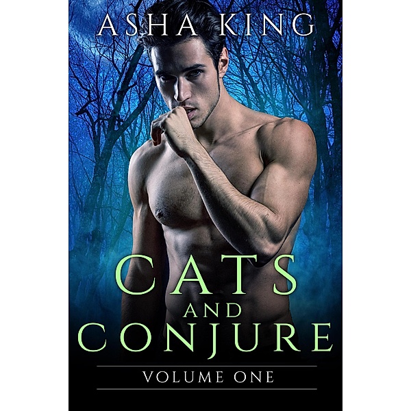 Cats & Conjure Volume One / Cats & Conjure, Asha King