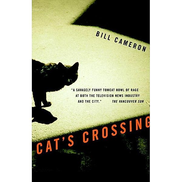 Cat's Crossing, Bill Cameron