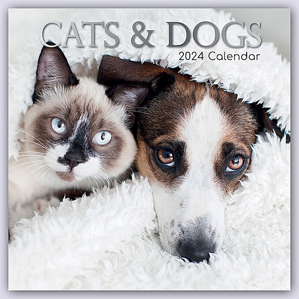 Cats & Dogs - Katzen & Hunde 2024 - 16-Monatskalender, Gifted Stationery Co. Ltd