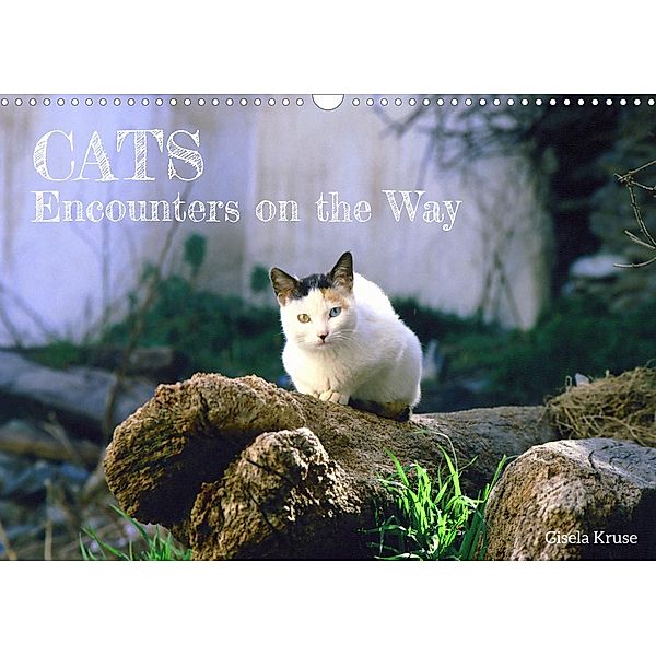 Cats - Encounters on the Way (Wall Calendar 2022 DIN A3 Landscape), Gisela Kruse