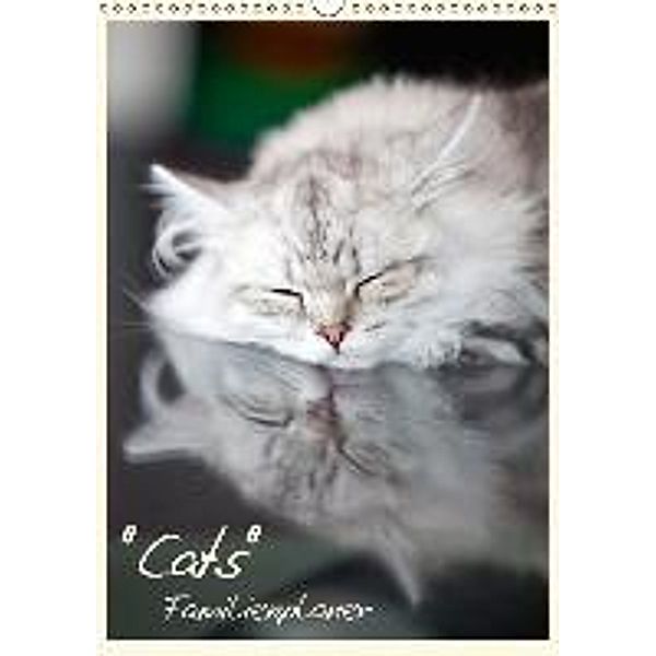 Cats - Familienplaner (CH - Version) (Wandkalender 2015 DIN A3 hoch), Melanie Viola