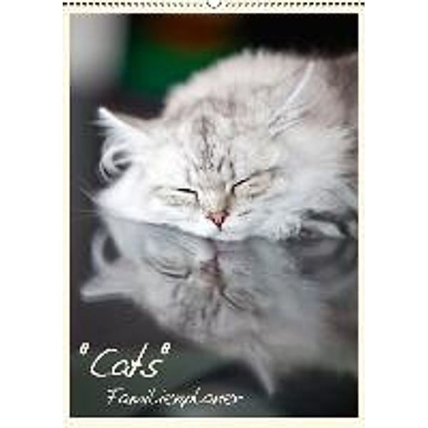 Cats - Familienplaner (CH - Version) (Wandkalender 2016 DIN A2 hoch), Melanie Viola