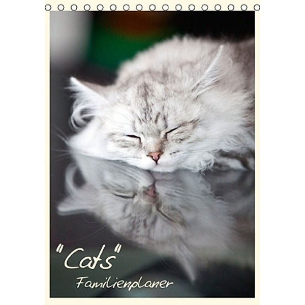 Cats - Familienplaner (Tischkalender 2015 DIN A5 hoch), Melanie Viola