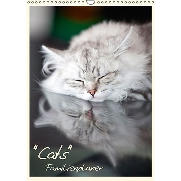 Cats - Familienplaner (Wandkalender 2014 DIN A3 hoch), Melanie Viola