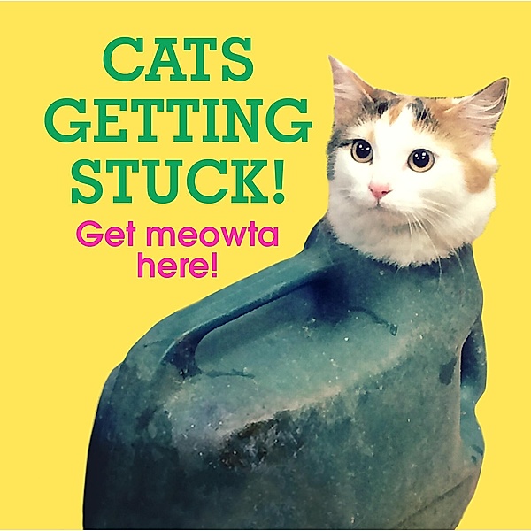 Cats Getting Stuck!, No Author Details