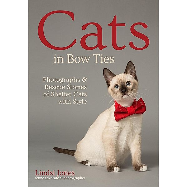 Cats in Bow Ties, Lindsi Jones