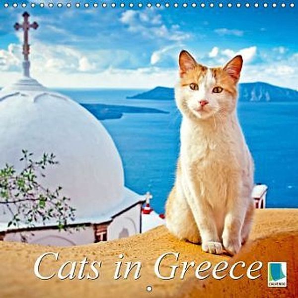 Cats in Greece (Wall Calendar 2015 300 × 300 mm Square), CALVENDO