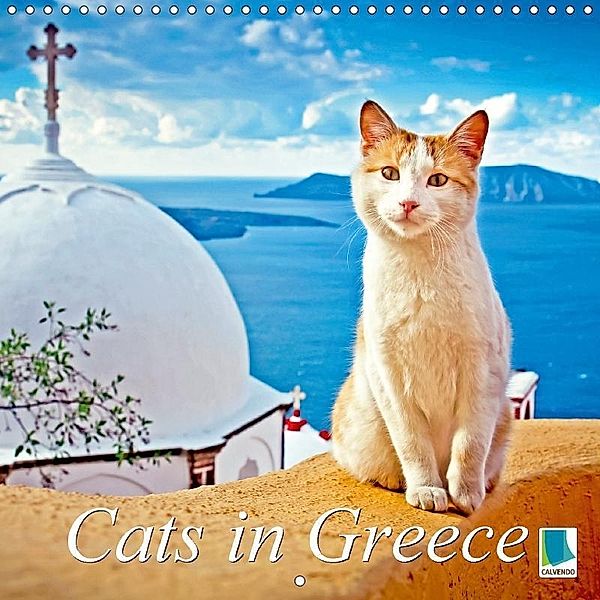 Cats in Greece (Wall Calendar 2018 300 × 300 mm Square), CALVENDO